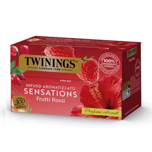 Infusion Red fruits 20 filters
