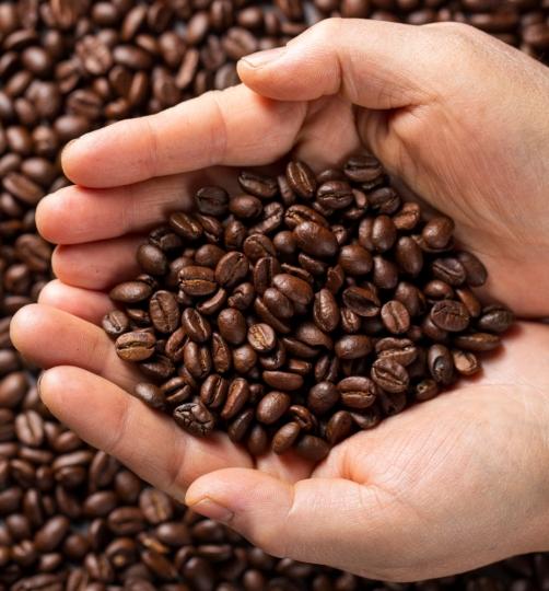 Caffè in GRANI 100% ARABICA GUATEMALA 500 g