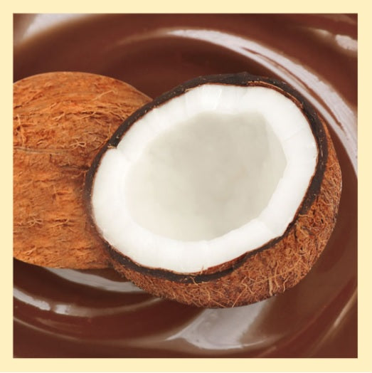 Chocolat à la Noix de Coco portions individuelles 32 g