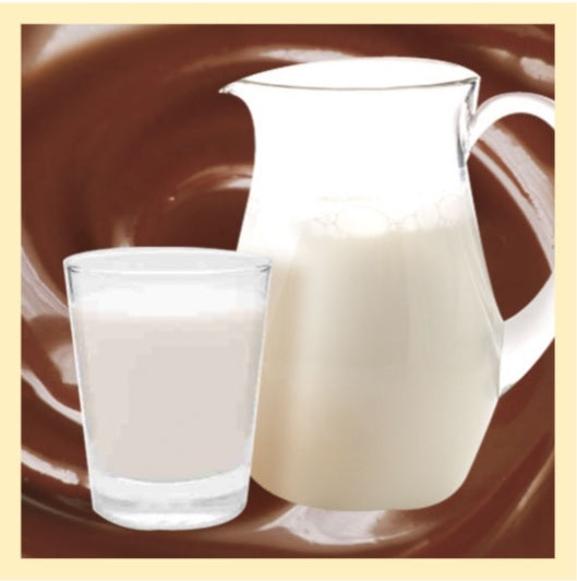 Chocolat au Lait portions individuelles 32 g